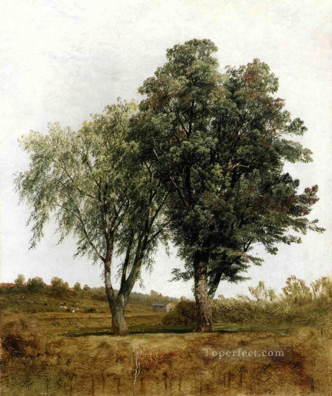 Un estudio del paisaje de los árboles John Frederick Kensett Pintura al óleo
